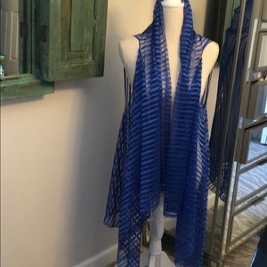 Royal blue stripe convertible transparent vest.